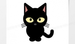 小黑猫动漫,萌动心灵，奇幻冒险之旅